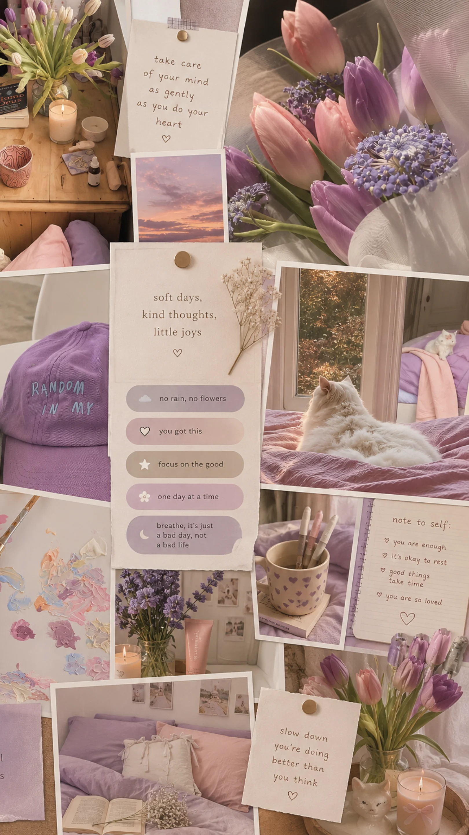 Softly Blooming Aesthetic Mood board